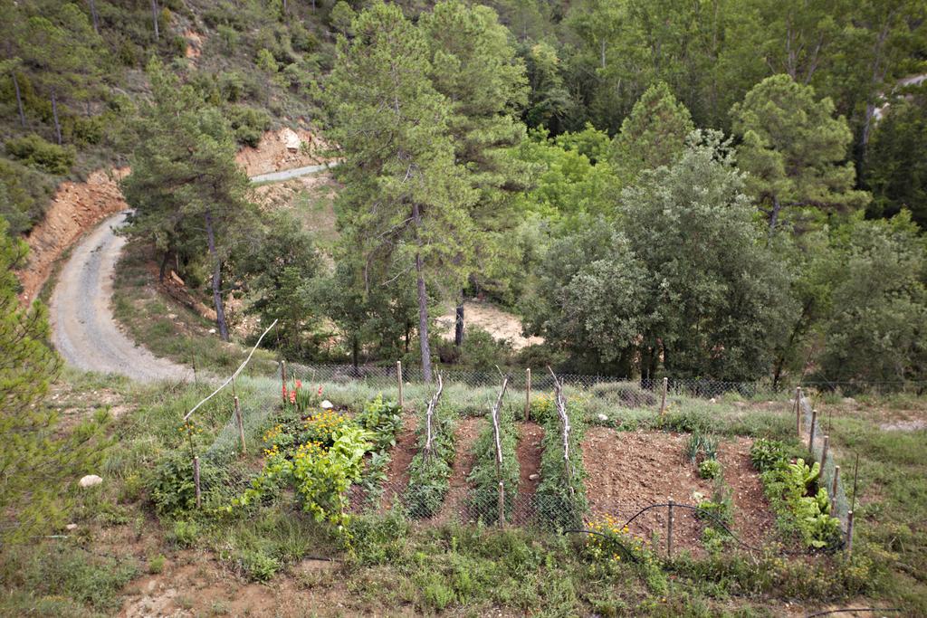 Masia Ca L'Anima Hotel La Baronia de Rialb Room photo