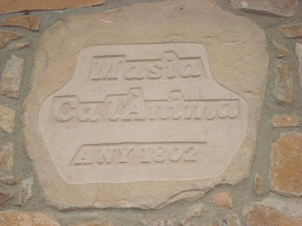 Masia Ca L'Anima Hotel La Baronia de Rialb Room photo